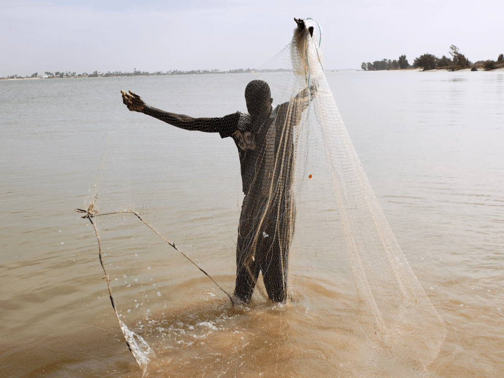 Fisherman casting a large net into the river, symbolising targeted keyword research